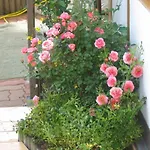 Elisabeth Schwarzenberger Apartamento
