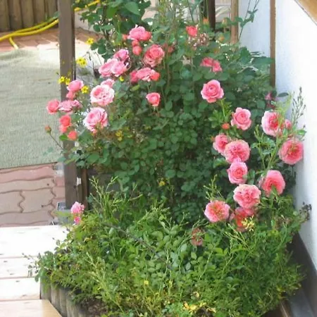 Elisabeth Schwarzenberger Apartman