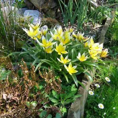 Apartman Elisabeth Schwarzenberger Obereching