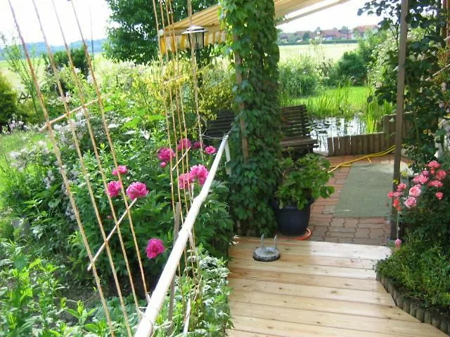 Elisabeth Schwarzenberger *