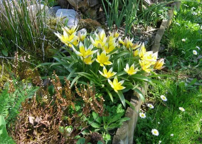 Apartamento Elisabeth Schwarzenberger Obereching